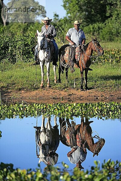 Cowboys  Pantanal  Brasilien  vaqueiro  pantaneiro Pferd  Reiter  Südamerika
