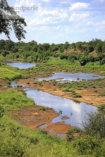 Olifants-Fluss  Krüger Nationalpark  Südafrika