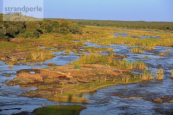 Olifants-Fluss  Krüger Nationalpark  Südafrika