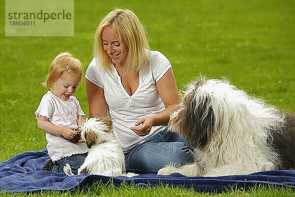 Frau mit Tochter  Bobtail und Mischlingshund  Welpe  Altenglischer Schäferhund  Old English Sheepdog