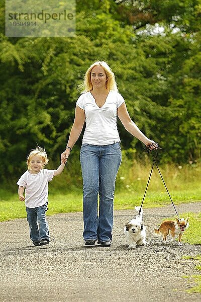 Frau und Tochter mit Chihuahua und Mischlingshund  Welpe  Leine  angeleint  Spaziergang