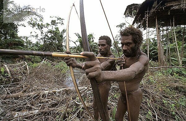 Männer vom Volk der Korowai mit Pfeil und Bogen  West-Papua  West-Neuguinea  Irian-Jaya  Baummenschen  Indonesien  Asien