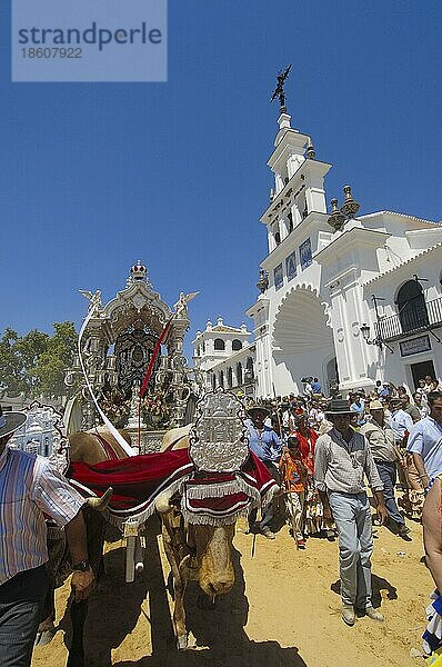 Pilger mit geschmücktem Ochsenkarren  Wallfahrt Romeria nach El Rocio  Huelva  Andalusien  Spanien  Europa