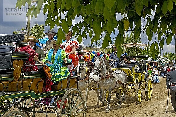 Pilger auf Pferdekutschen  Wallfahrt Romeria nach El Rocio  Almonte  Huelva  Andalusien  Spanien  Europa