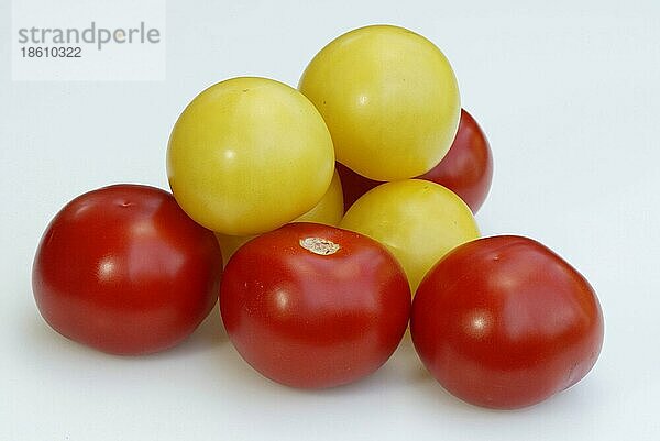 Gelbe und rote Tomaten (Solanum lycopersicum)  Rote und gelbe Tomaten  Gemüse  Nachtschattengewächse  Solanaceae  rot  gelb  Querformat  horizontal  innen  Studio  Nahrungsmittel  Lebensmittel  Freisteller  ausgeschnitten  Objekt
