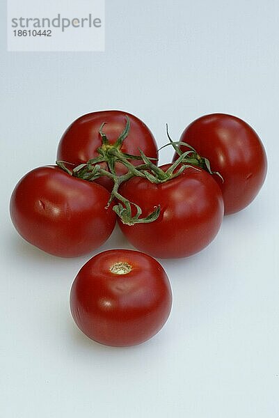 Rote Tomaten (Solanum lycopersicum)  Gemüse  Nachtschattengewächse  Solanaceae  Fäulnis  Freisteller  Ausschnitt  Objekt  innen  Studio  innen  vertikal  Nahrungsmittel  Lebensmittel