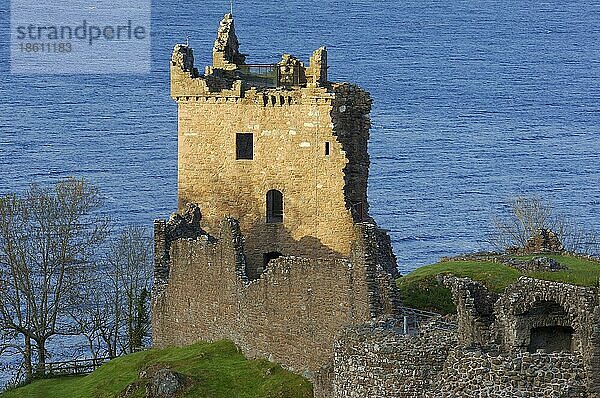 Ruinen von Schloss Urquhart  Loch Ness  Highlands  Schottland  Urquhart Castle  Schottisches Hochland