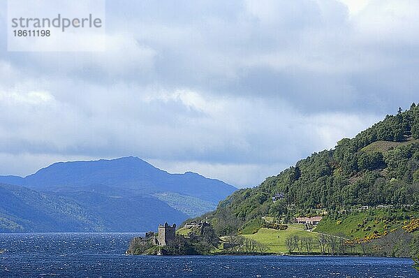 Ruinen von Schloss Urquhart  Loch Ness  Highlands  Schottland  Urquhart Castle  Schottisches Hochland