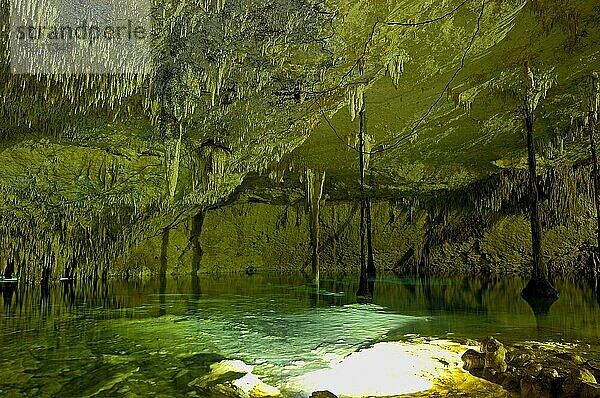 Cenote  Hidden Worlds Cenotes Park  Tulum  Riviera Maya  Quintana Roo  Yucatan  Mexiko  Tulu'um  Mittelamerika