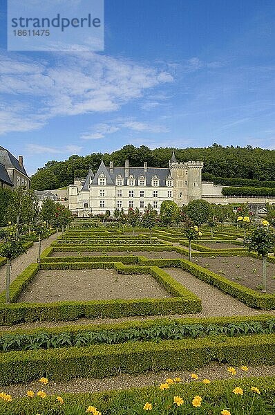 Schlossgarten  Loiretal  Touraine  Chateau de  Schloss Villandry  Villandry  Centre  Frankreich  Europa