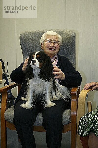 Seniorin mit Cavalier-King-Charles-Spaniel  Hundebesuchsdienst  Besuchshundedienst  Altersheim  Seniorenheim  Altenheim