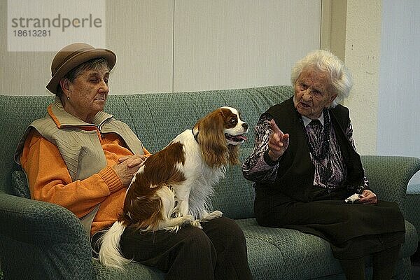 Seniorinnen mit Cavalier-King-Charles-Spaniel  Hundebesuchsdienst  Besuchshundedienst  Altenheim  Altersheim  Seniorenheim