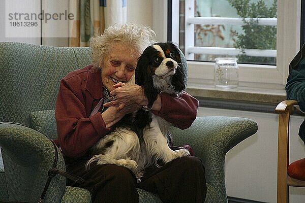 Seniorin mit Cavalier-King-Charles-Spaniel  Hundebesuchsdienst  Besuchshundedienst