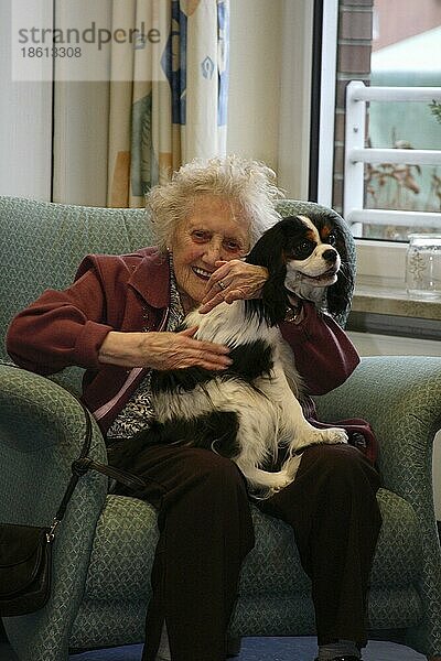 Seniorin mit Cavalier-King-Charles-Spaniel  Hundebesuchsdienst  Besuchshundedienst