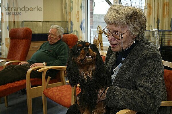 Seniorin mit Cavalier-King-Charles-Spaniel  Hundebesuchsdienst  Besuchshundedienst