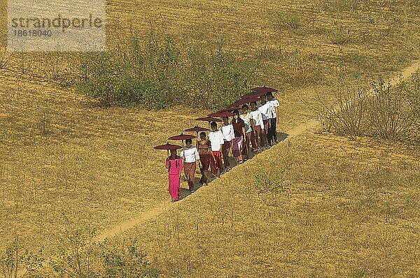 Junge Burmesinnen mit Sonnenschirmen auf Feld  Bagan  Burma  Pagan  Myanmar  Asien