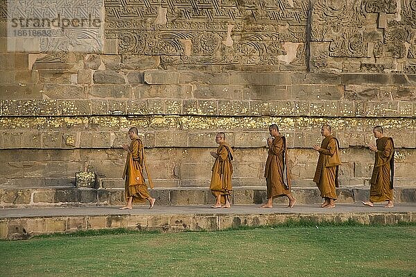Betende buddhistische Mönche umkreisen die Dhamekh-Stupa  Isipatana Deer Park  Sarnath  Uttar Pradesh  Indien  Asien