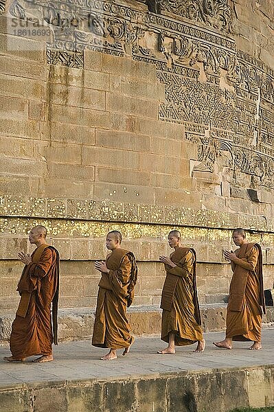Betende buddhistische Mönche umkreisen die Dhamekh-Stupa  Isipatana Deer Park  Sarnath  Uttar Pradesh  Indien  Asien