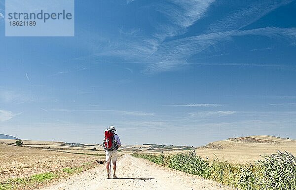 Ein Pilger unter dem weiten Himmel  Weg von Azofra nach Cirueñuela  La Rioja  Baskenland  Spanien  Europa