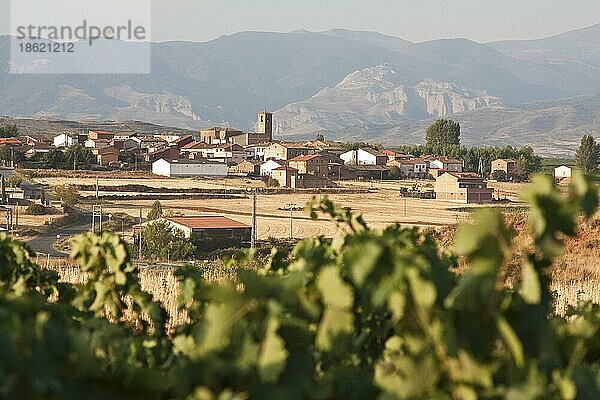 Blick auf Alesón  Weg von Ventosa nach Nájera  La Rioja  Baskenland  Spanien  Europa