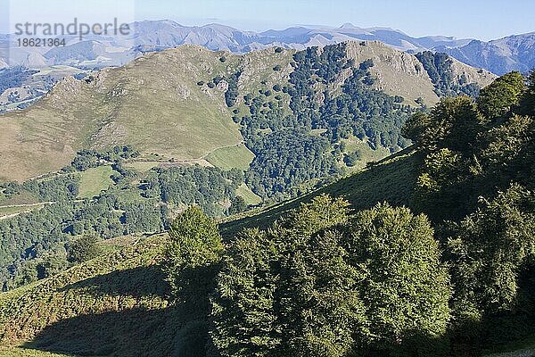 Bergpanorama auf dem Weg durch die Pyrenäen von St. Jean Pied de Port nach Roncesvalles  Pyrenäen  Baskenland  Frankreich  Europa