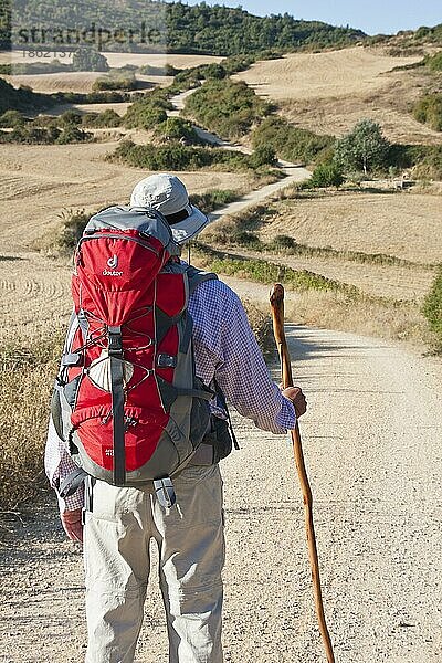 Ein Jakobspilger auf seinem Weg nach Luquin  Wegstrecke vom Kloster Irache bei Estella nach Luquin  Region Navarra  Baskenland  Spanien  Europa
