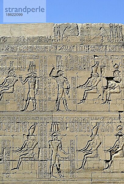 Reliefs  Ptolemaeischer Kult  Edfu  Idfu  Horustempel  Ägypten  Afrika