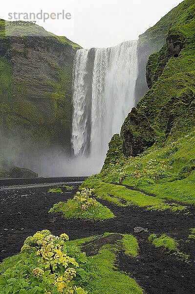 Wasserfall  Skogafoss  Island  Europa