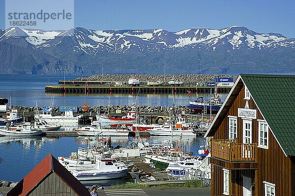 Husavik  Island  Europa