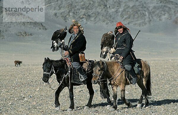 Kasachen-Männer mit Steinadlern (Aquila chrysaetos) mit Lederkaeppchen  auf Pferden  bei Steinadler-Fest  Provinz Bayan Olgiy  Kosake  Kosaken  Steinadler-Jäger  Mongolei  Asien