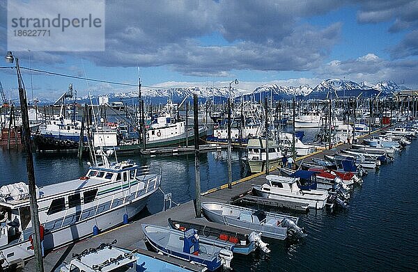 Hafen von Homer  Kenai-Halbinsel  Alaska  USA  Nordamerika