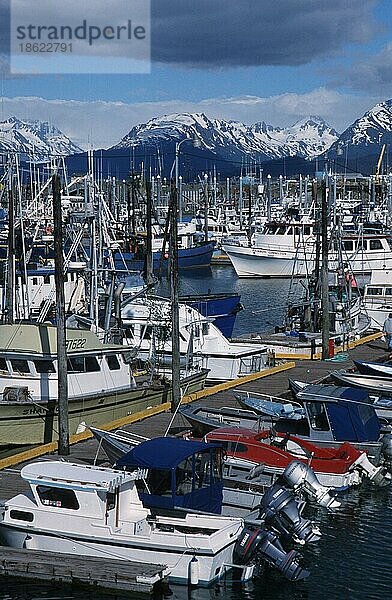 Hafen von Homer  Kenai-Halbinsel  Alaska  USA  Nordamerika