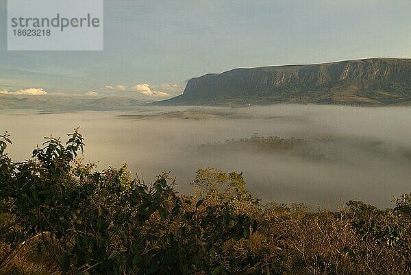 Berg im Nebel  Nationalpark Serra da Canastra  Minas Gerais  Brasilien  Südamerika