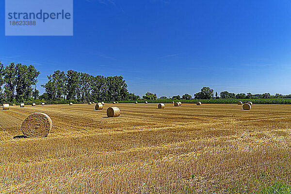 Strohballen  Stoppelfeld  Landschaft