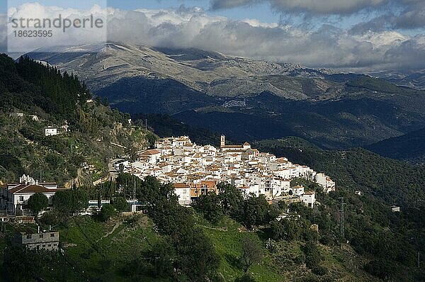 Blick auf Algatocin  weiße Dörfer  Pueblos Blancos  Andalusien  Spanien  Europa