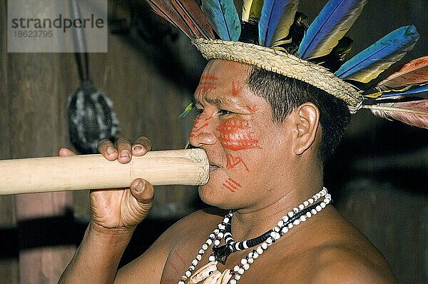 Indianer vom Volkstamm der Dessanos spielt Flöte  Dessano-  Musik  musizieren  Rio Taruma  Staat Amazonas  Brasilien  Südamerika