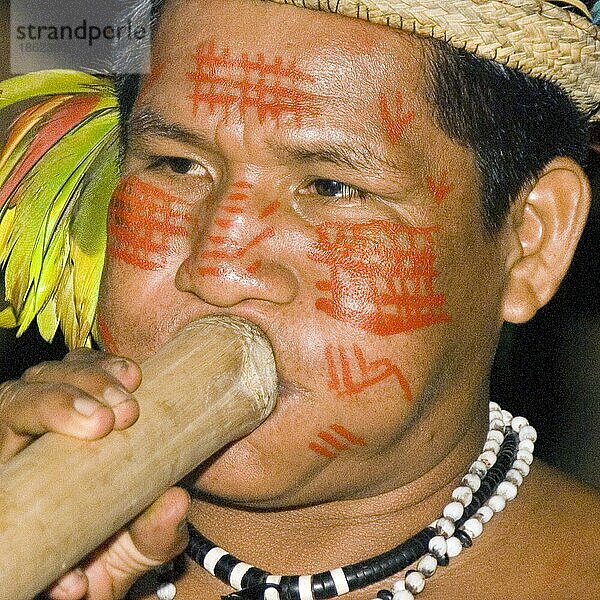 Indianer vom Volkstamm der Dessanos mit Gesichtsbemalung spielt Flöte  Dessano-  Musik  musizieren  Rio Taruma  Staat Amazonas  Brasilien  Südamerika