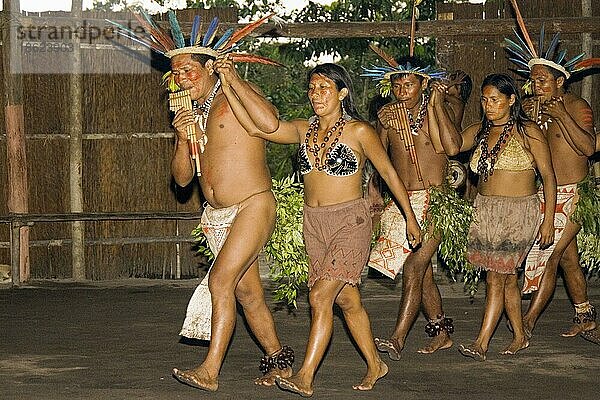 Indianer vom Volkstamm der Dessanos bei traditionellem Tanz  Rio Taruma  Staat Amazonas  Brasilien  Dessano-Indianer  Südamerika