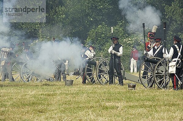 8. Napoleon Biwak  Kriegsspiele  Krieg  8eme bivouac napoleonien  Kanonen  historische Wiederherstellung der Schlacht von Waterloo von 1815  Waterloo  Brabant  Belgien  Europa