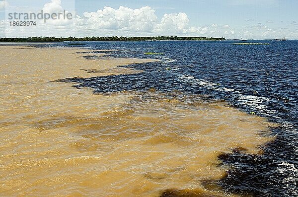 Zusammenfluss des Wassers vom Rio Solimoes und Rio Negro  Manaus  Staat Amazonas  Brasilien  Südamerika