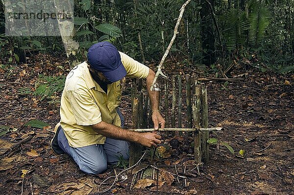 Jäger beim Bau einer Agouti-Falle  Bundesstaat Amazonas  Brasilien  Südamerika
