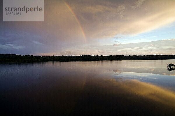 Regenbogen über dem Fluss Rio Taruma  Manaus  Bundesstaat Amazonas  Brasilien  Südamerika