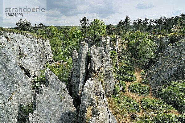 Erodierte Felsen einer Schlucht im Naturschutzgebiet Fondry des Chiens  einer Doline bei Nismes in Viroinval in den Ardennen  Belgien  Europa