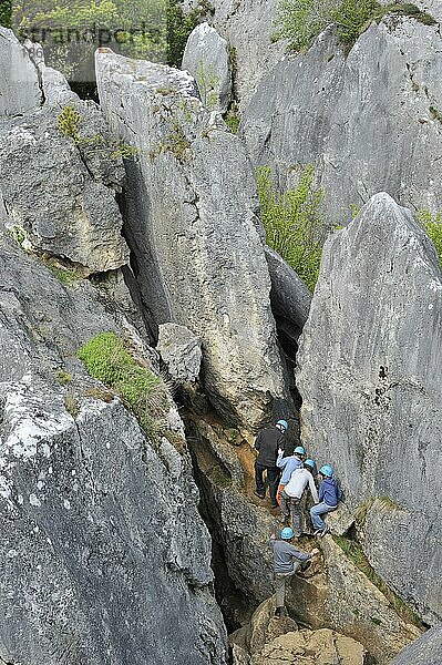 Schulkinder während des Survival-Tages beim Klettern auf erodierten Felsen der Schlucht im Naturschutzgebiet Fondry des Chiens  einem Erdfall bei Nismes in Viroinval in den Ardennen  Belgien  Europa