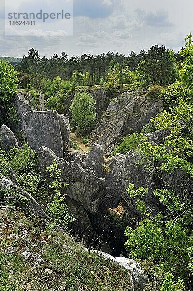 Erodierte Felsen einer Schlucht im Naturschutzgebiet Fondry des Chiens  einer Doline bei Nismes in Viroinval in den Ardennen  Belgien  Europa