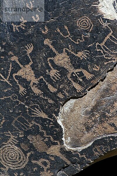 Newspaper Rock mit Petroglyphen der Anasazi-Indianer im Petrified Forest National Park  Arizona  US