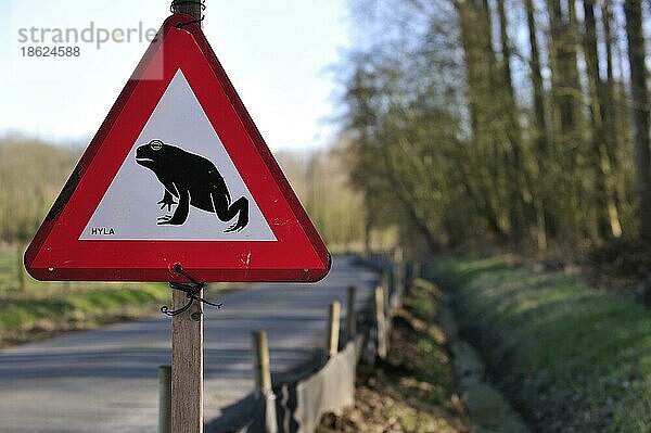 Warnschild für wandernde Amphibien/Kröten  die die Straße während der jährlichen Wanderung im Frühjahr überqueren  Belgien  Europa
