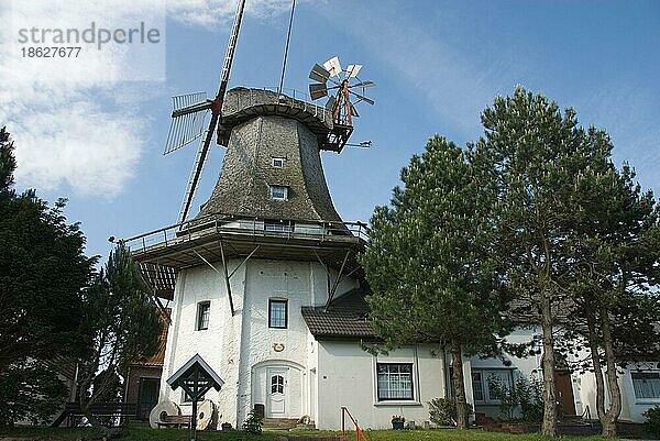 Windmühle  Carolinensiel  Ostfriesland  Niedersachsen  Deutschland  Galerieholländer  Europa
