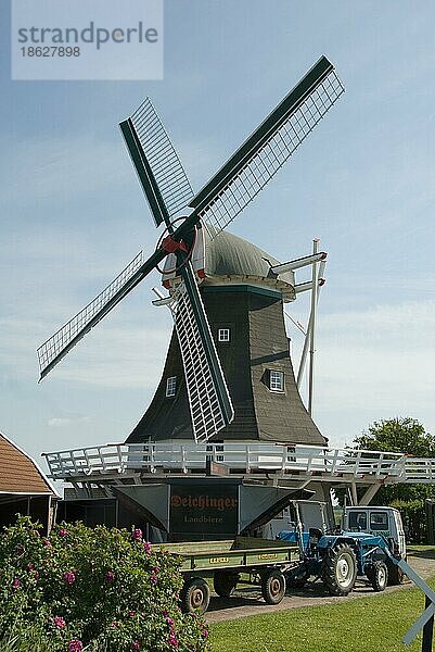 Alte Windmühle von 1804  Groß Holum  Esens  Ostfriesland  Niedersachsen  Deutschland  Galerieholländer  Seriemer Mühle  Europa