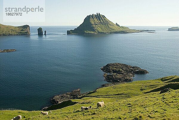 Küste bei Bour  Sorvagsfjördur  Blick auf Insel Tindholmur  Sorvagsfjordur  Insel Vagar  Färöer-Inseln  Dänemark  Europa